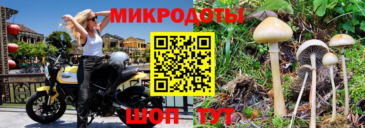 Псилоцибиновые грибы мухоморы Богородск