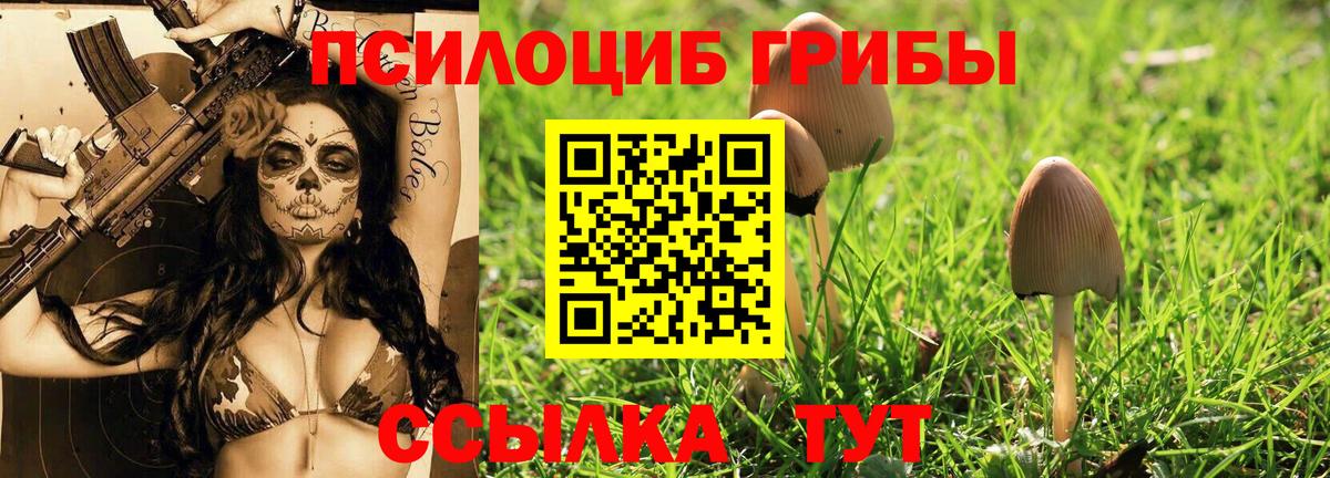 Псилоцибиновые грибы Psilocybe  Вход с VPN  Богородск  Галлюциногенные грибы ЛСД 